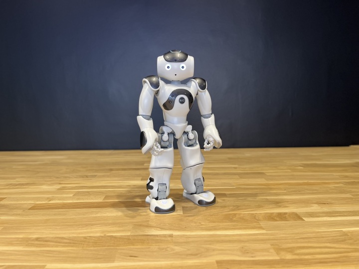 NAOme unser humanoider NAO-Roboter